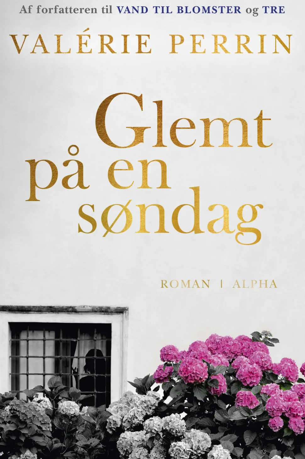 Glemt på en søndag (Bog, Indbundet, Dansk) af Valerie Perrin