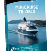 Go Dream: Minicruise til Oslo (Oplevelsesgave, Gavekort)