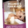 Go Dream: Wellness & forkælelse (Oplevelsesgave, Gavekort)