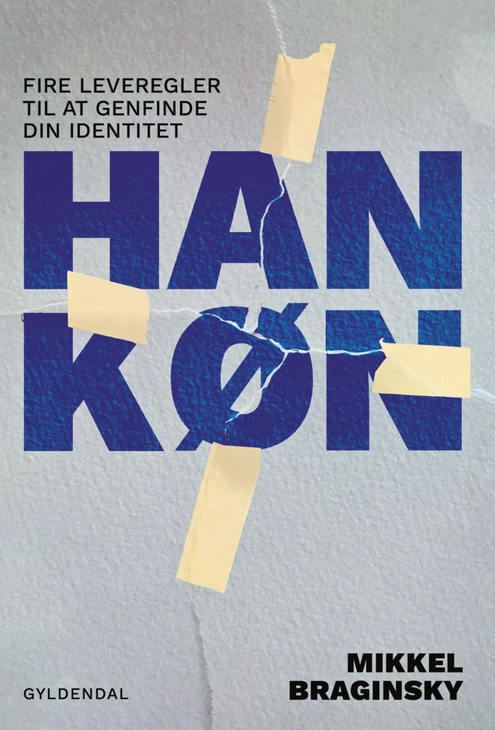 Hankøn (Lydbog, zip_mp3, Dansk) af Mikkel Braginsky