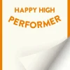 Happy High Performer: Strategier til et arbejdsliv der hverken skal overleves eller o... (Bog, Hæftet, Dansk) af Marie Litrup