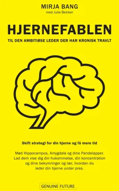 Hjernefablen: Til den ambitiøse leder der har kronisk travlt (Lydbog, zip_mp3, Dansk) af Mirja Bang