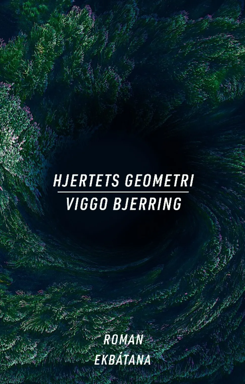 Hjertets geometri (Bog, Hæftet, Dansk) af Viggo Bjerring