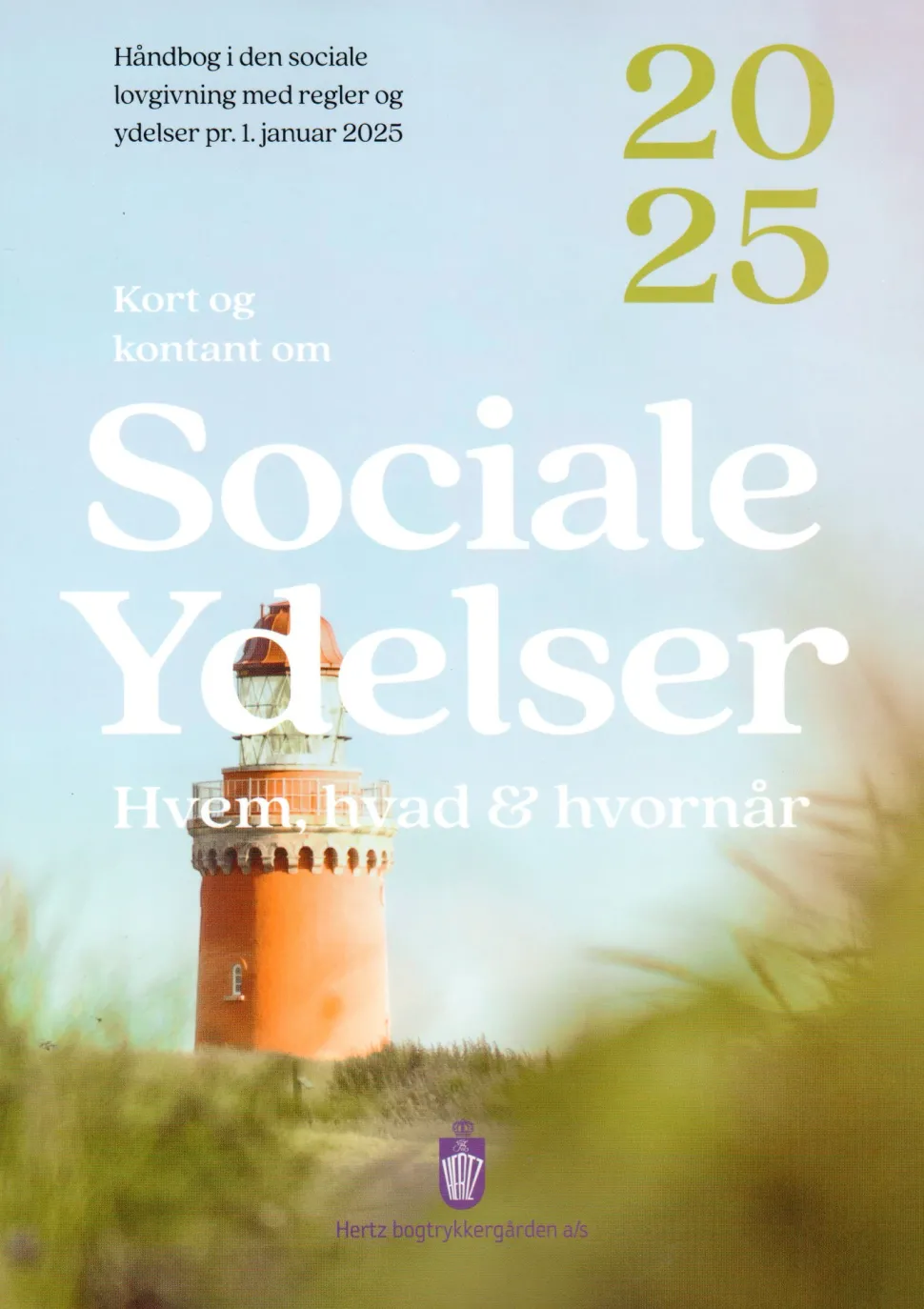Håndbogen: Sociale ydelser 2025 - Hvem, hvad & hvornår