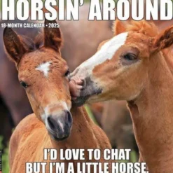 Horsin' Around 2025 12 X 12 Wall Calendar (Kalender, Calendar, Engelsk) af Willow Creek Press
