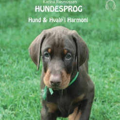 Hundesprog - Hund og hvalp i harmoni (Lydbog, zip_mp3, Dansk) af Karina Rasmussen