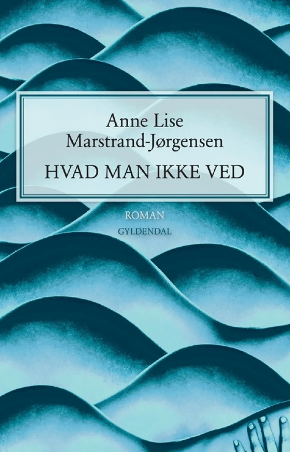 Hvad man ikke ved (Bog, Hæftet, Dansk) af Anne Lise Marstrand-Jørgensen
