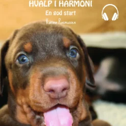 Hvalp i Harmoni - En god start (Lydbog, zip_mp3, Dansk) af Karina Rasmussen
