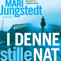 I denne stille nat (Lydbog, zip_mp3, Dansk) af Mari Jungstedt