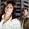 Isfolket 42 - Stilhed før stormen (Hardback, Dansk) af Margit Sandemo