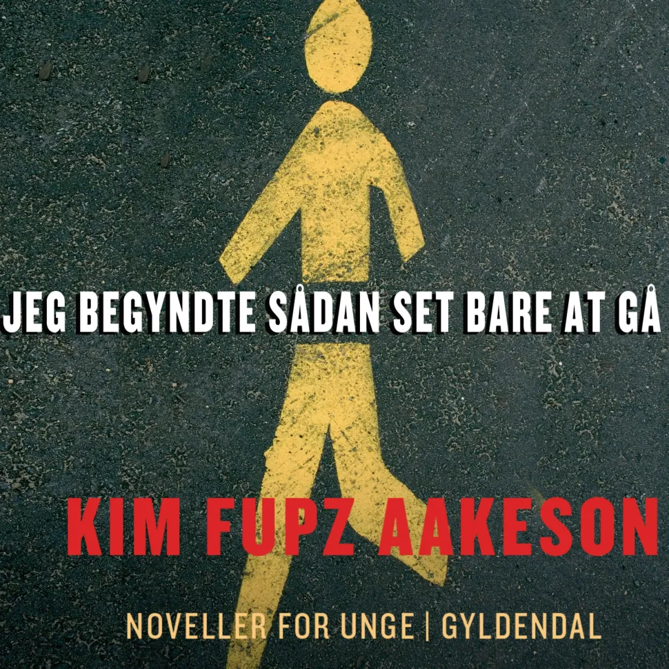Jeg begyndte sådan set bare at gå: 14 noveller for unge (Lydbog, zip_mp3, Dansk) af Kim Fupz Aakeson