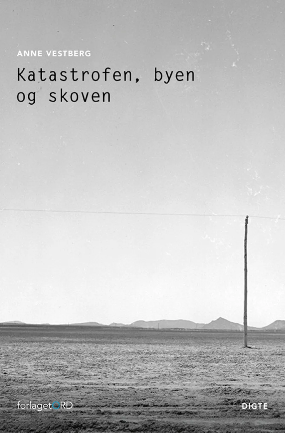 Katastrofen, byen og skoven (Ebog, epub, Dansk) af Anne Vestberg