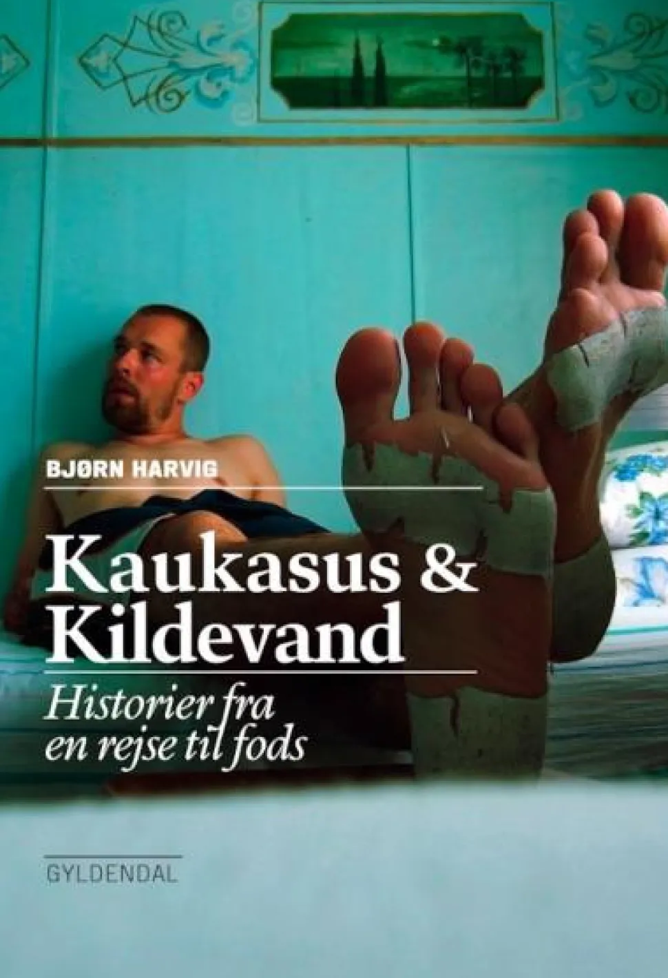 Kaukasus og kildevand: Historier fra en rejse til fods (Lydbog, zip_mp3, Dansk) af Bjørn Harvig