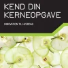 Kend din kerneopgave: Innovation til hverdag (Bog, Hæftet, Dansk) af Morten Christensen