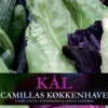 Kål - Camillas køkkenhave (Ebog, epub, Dansk) af Camilla Plum