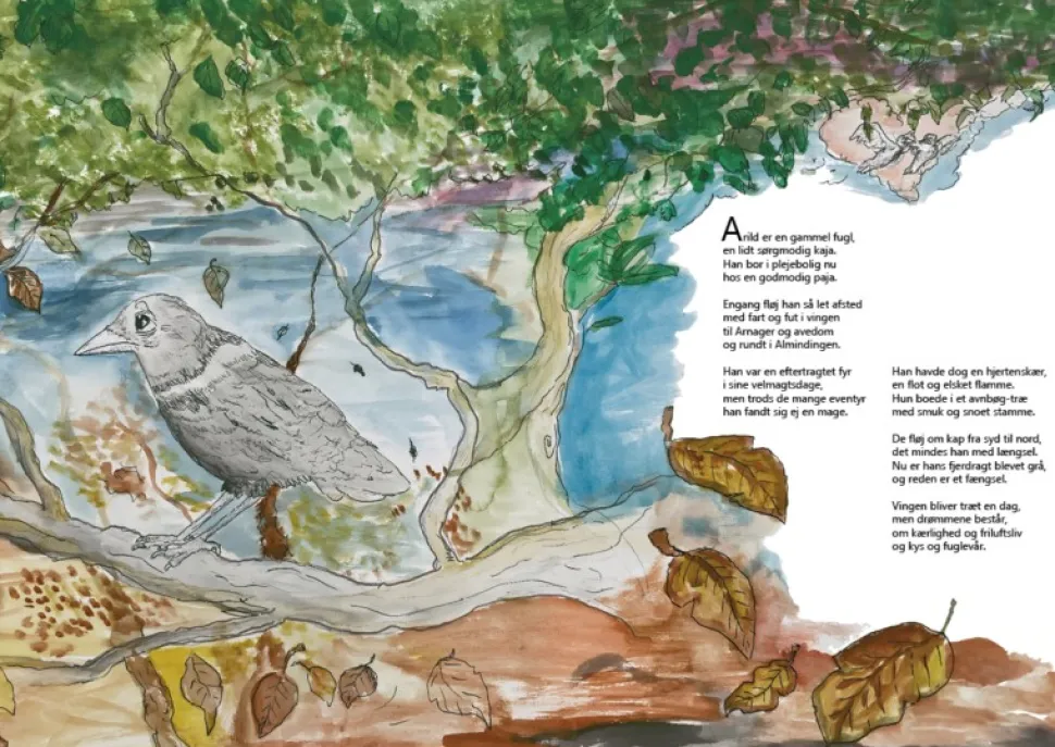 Klippeøens ABC (Bog, Hardback, Dansk) af Amanda Stevne Pihl