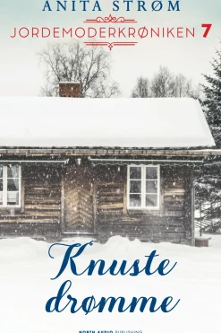 Knuste drømme (Ebog, epub, Dansk) af Anita Strøm