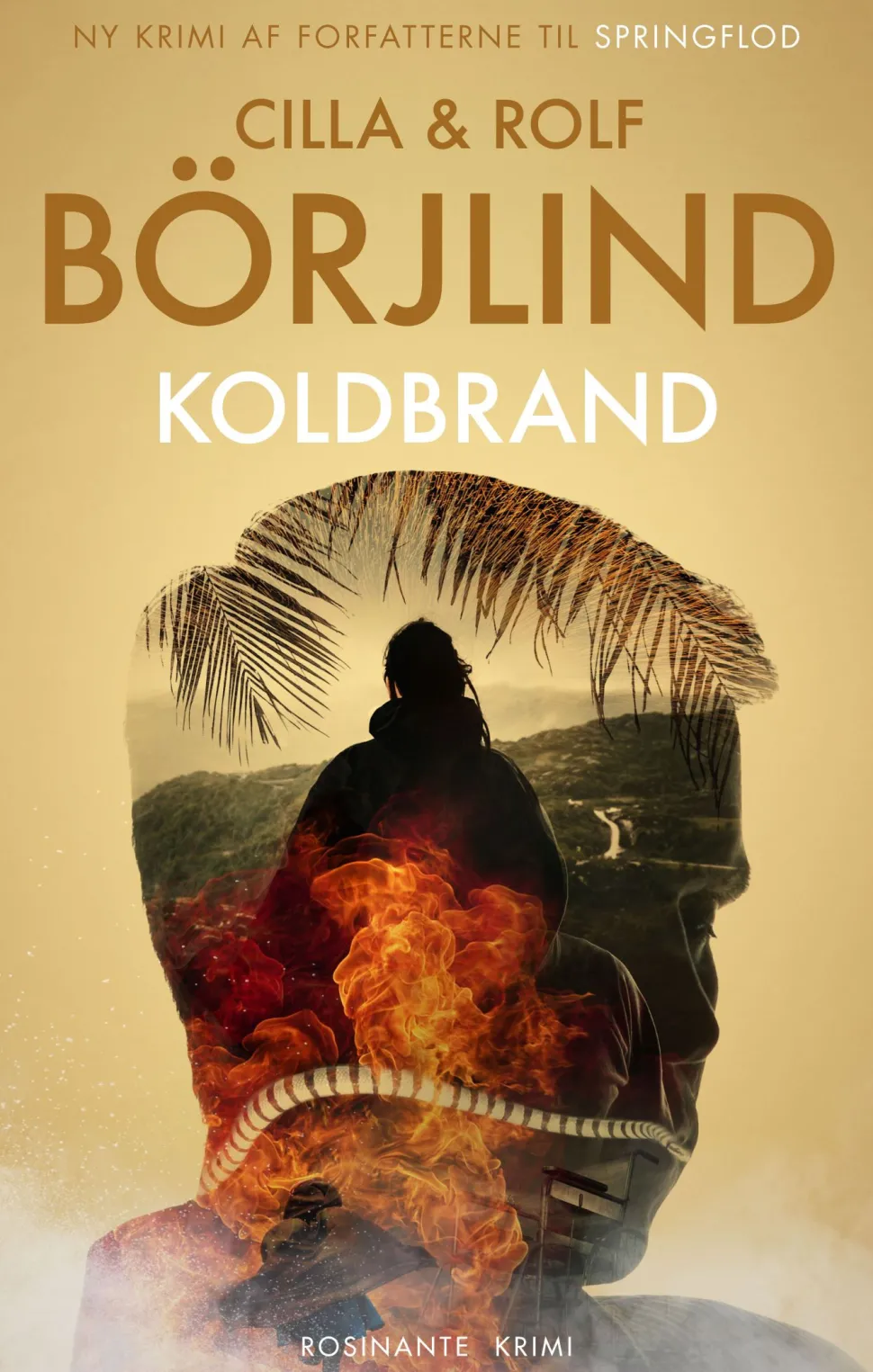 Koldbrand (Ebog, epub, Dansk) af Cilla og Rolf Börjlind