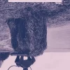 Økotopia (Bog, Hæftet, Dansk) af Ernest Callenbach