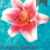 Kussens Katedral: vejen til en smilende kusse (Ebog, epub, Dansk) af Kirsia Isabella Olufsen
