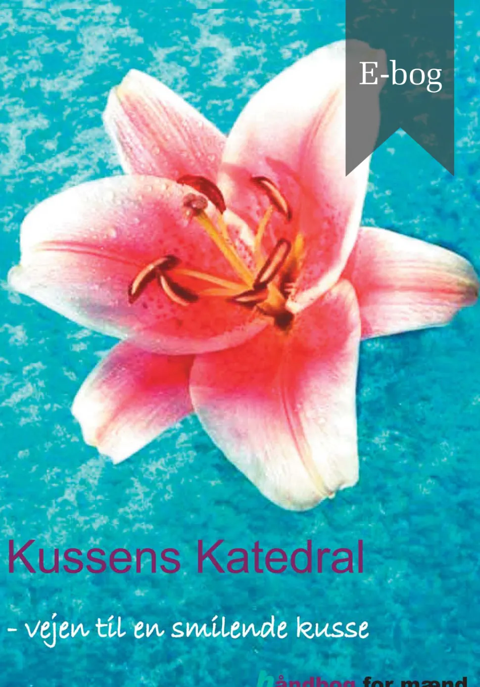Kussens Katedral: vejen til en smilende kusse (Ebog, epub, Dansk) af Kirsia Isabella Olufsen