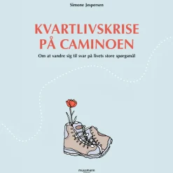 Kvartlivskrise på Caminoen (Lydbog, zip_mp3, Dansk) af Simone Jespersen