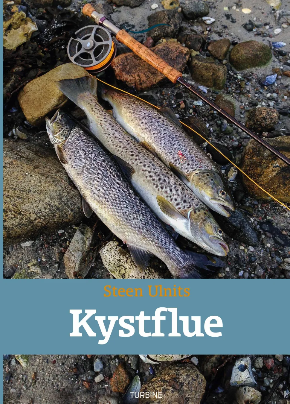 Kystflue (Bog, Hardback, Dansk) af Steen Ulnits