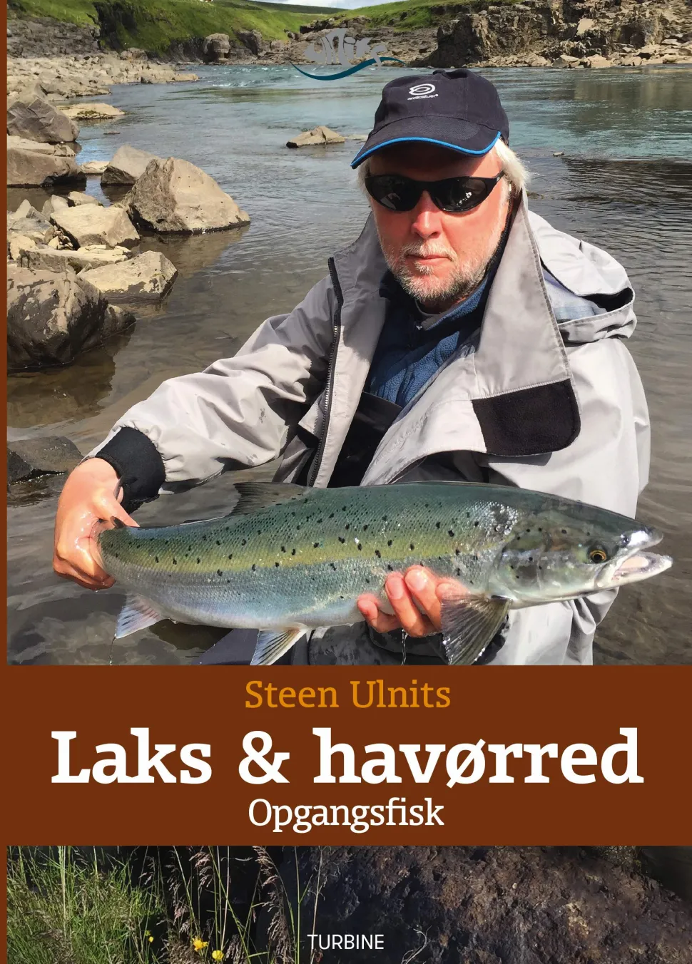 Laks og havørred - Opgangsfisk (Bog, Hardback, Dansk) af Steen Ulnits