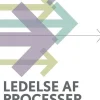 Ledelse af processer - BPM (Bog, Hæftet, Dansk) af Maj Thorup Friis og Claus Toft Friis