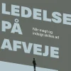 Ledelse på afveje: Når magt og indsigt skilles ad (Ebog, epub, Dansk) af Peter Harder