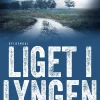 Liget i lyngen: Agnes Hillstrøm 1 (Ebog, epub, Dansk) af Lars Kjædegaard