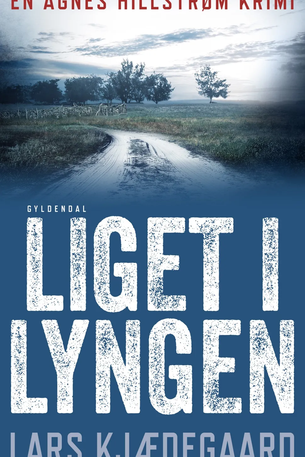 Liget i lyngen: Agnes Hillstrøm 1 (Ebog, epub, Dansk) af Lars Kjædegaard