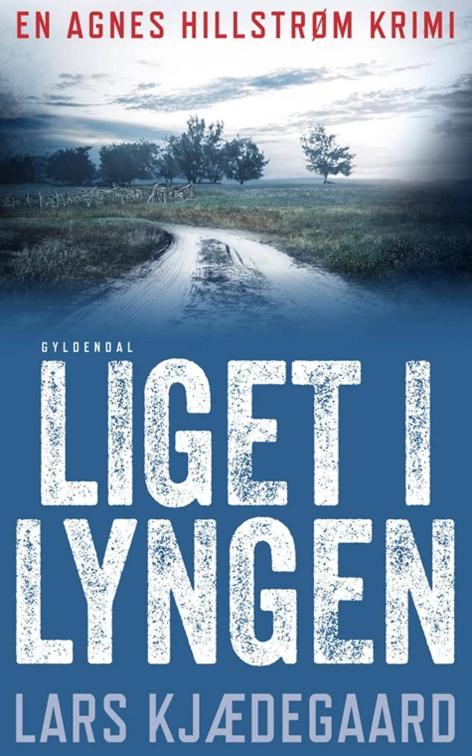 Liget i lyngen: Agnes Hillstrøm 1 (Bog, Hæftet, Dansk) af Lars Kjædegaard