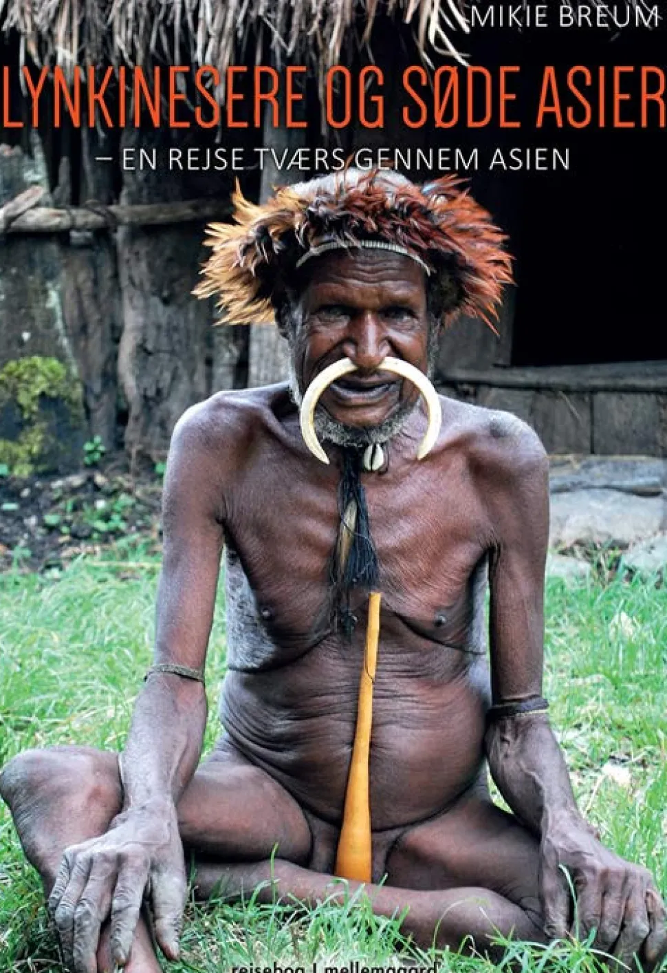 Lynkinesere og søde asier: En rejse tværs gennem Asien (Ebog, pdf, Dansk) af Mikie Breum