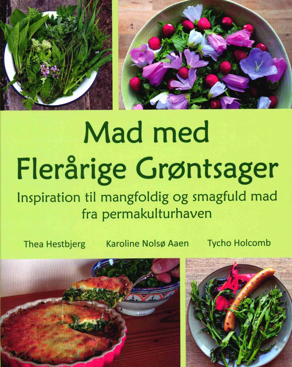 Mad med Flerårige Grøntsager (Bog, Hardback, Dansk) af Thea Hestbjerg