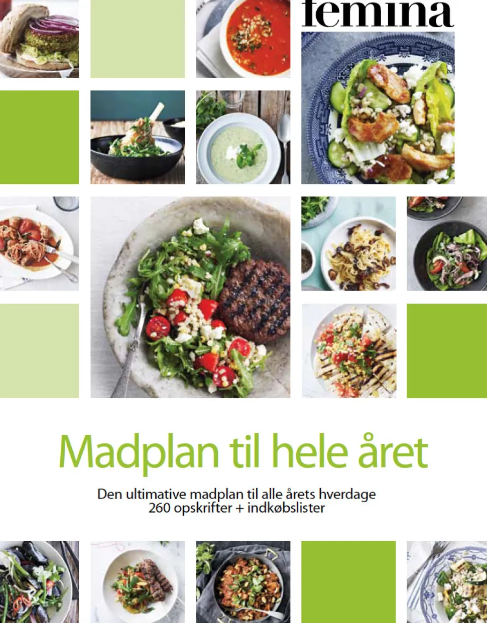 Madplan til hele året: 260 opskrifter + indkøbslister (Ebog, pdf, Dansk) af Magasinet Femina