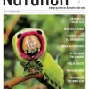 Magasinet Naturen Nr. 2 - 2024 (Bog, Hæftet, Dansk) af Morten Top og Klavs Holm