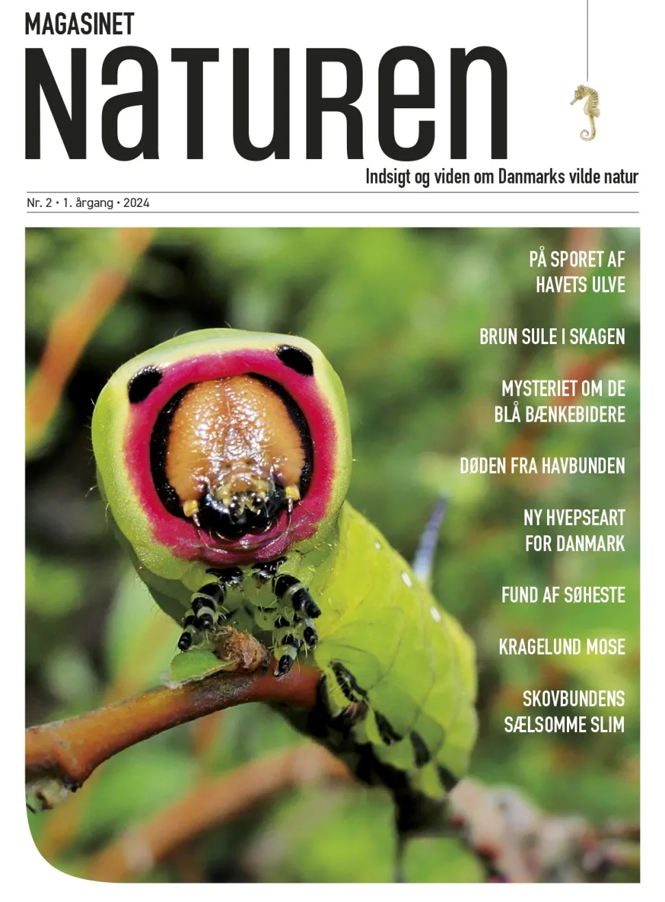 Magasinet Naturen Nr. 2 - 2024 (Bog, Hæftet, Dansk) af Morten Top og Klavs Holm