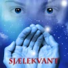Magerne 1 - Sjælekvant: Sjælekvant (Ebog, pdf, Dansk) af Kent Carlson