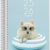 Mayland studie kalender 2025/26 - stor - 2i1