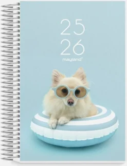 Mayland studie kalender 2025/26 - stor - 2i1