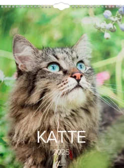 Mayland Vægkalender Katte 2025