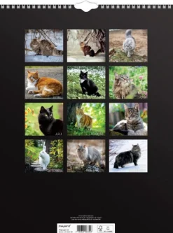 Mayland Vægkalender Katte 2025