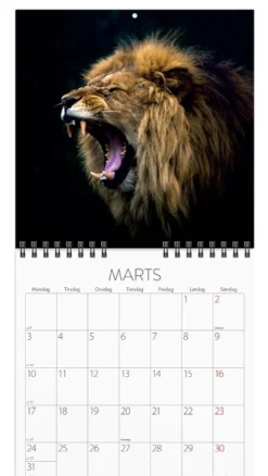 Mayland Vægkalender mini Verdens dyr 2025