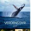 Mayland vægkalender Verdens dyr 2025