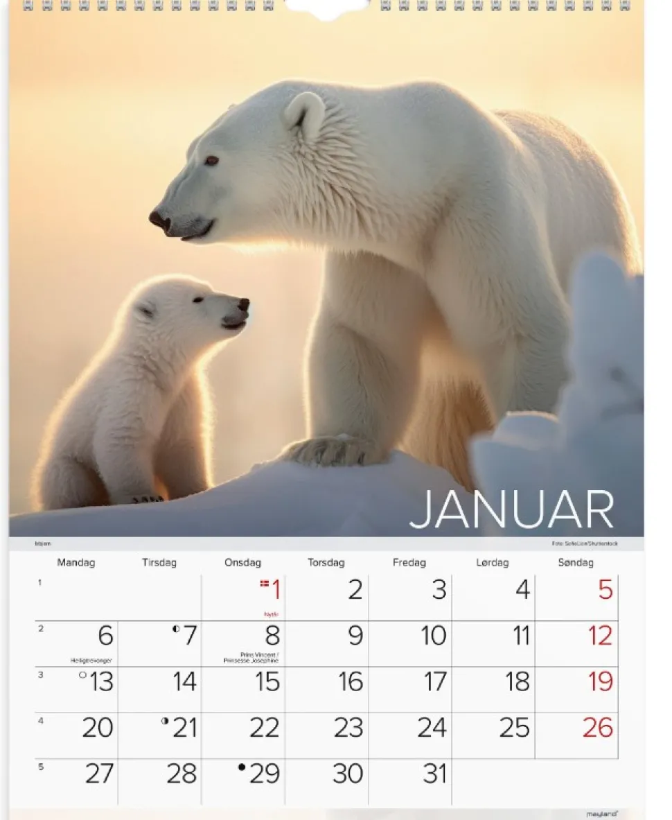 Mayland vægkalender Verdens dyr 2025