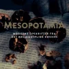 Mesopotamia: moderne opskrifter fra det mellemøstlige køkken (Ebog, epub, Dansk) af Fanan Imad