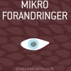 Mikroforandringer: Et medarbejderblik på organisationsforandringer (Ebog, epub, Dansk) af Signe Bruskin