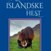Min islandske hest (Bog, Paperback, Dansk) af Lise Hvarregaard