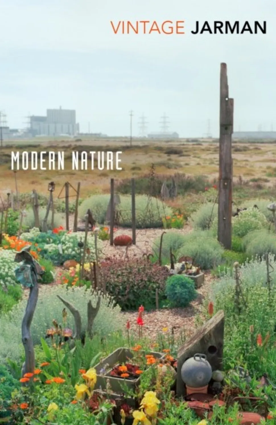 Modern Nature: Journals, 1989 – 1990 (Bog, Paperback / softback, Engelsk) af Derek Jarman